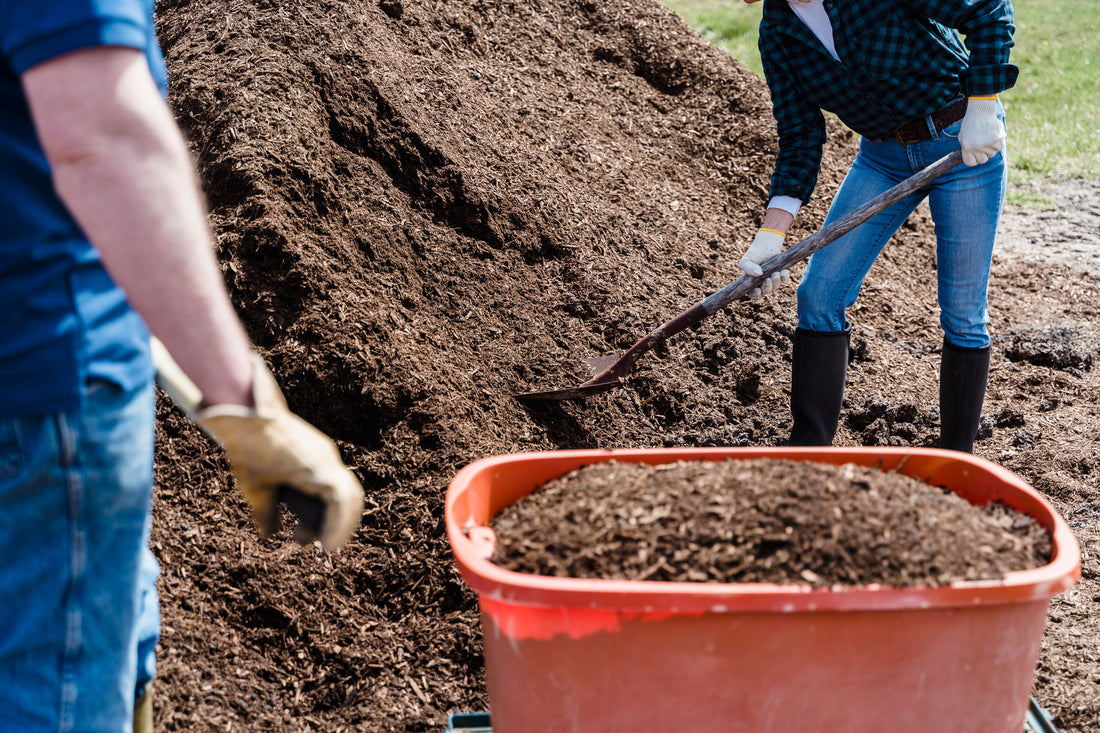 Garden Sifter and Compost Tool Buying Guide: Prepping Soil for Spring