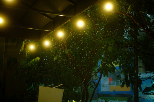 The Magic of String Lights: Create a Cozy Garden Glow