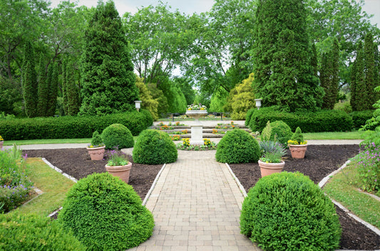 How to Choose the Right Landscape Edging for Your Garden