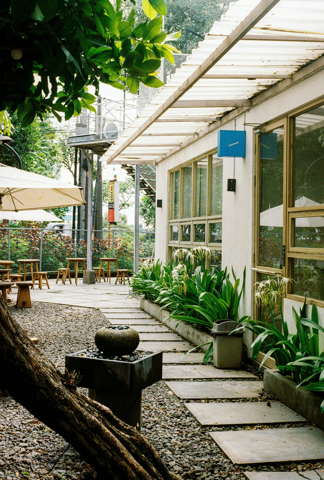 Trellis and Plant Support Buying Guide: Obelisk, Stake, or Cage?