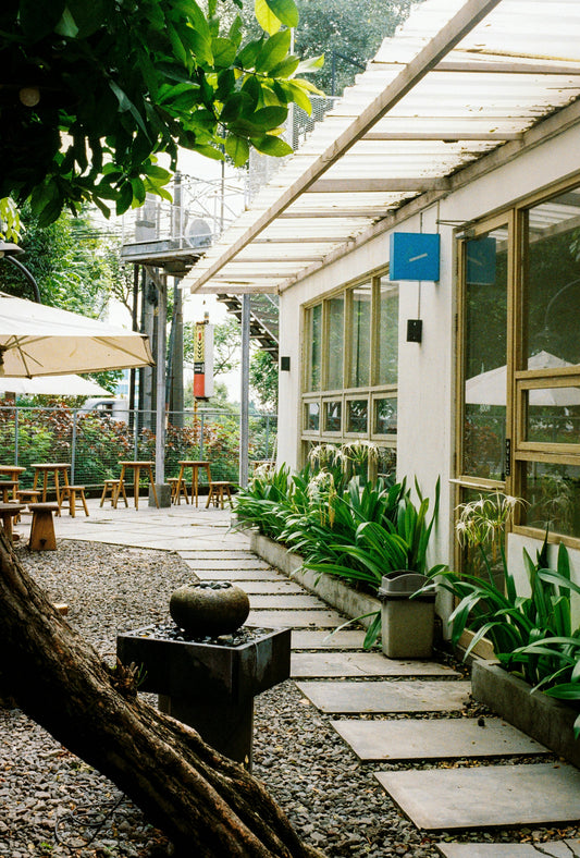 Trellis and Plant Support Buying Guide: Obelisk, Stake, or Cage?