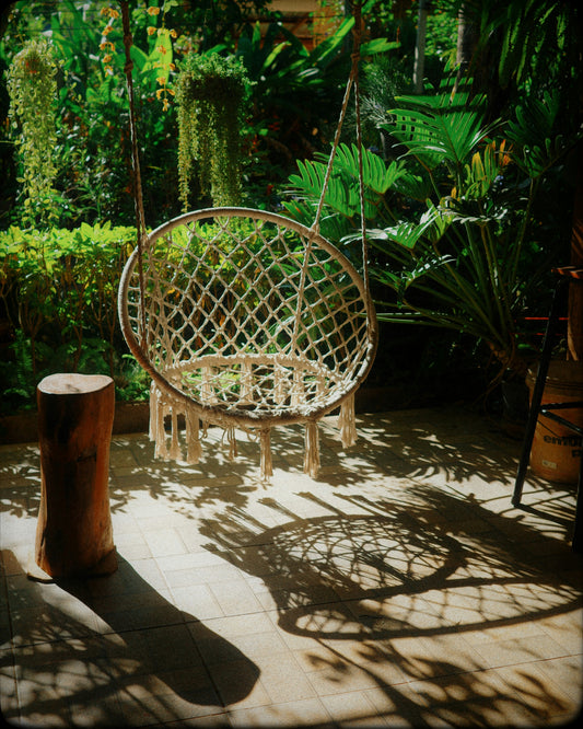 Fall Garden Cleanup Roadmap: Cut, Cover, and Store With Care