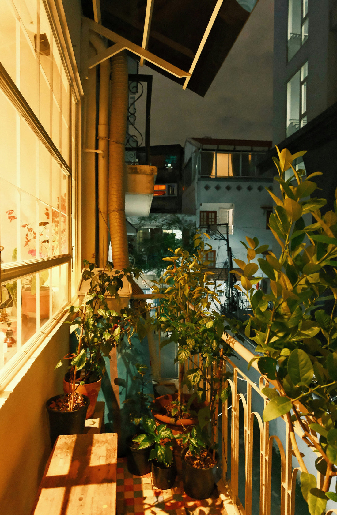 Step by Step Guide to Designing Your Dream Garden