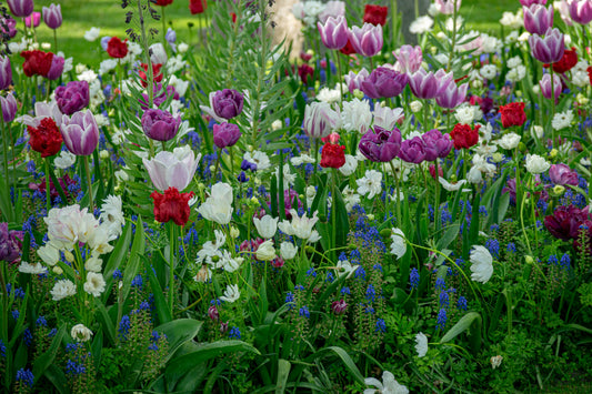 Easy Gardening Tools Every Beginner Should Own