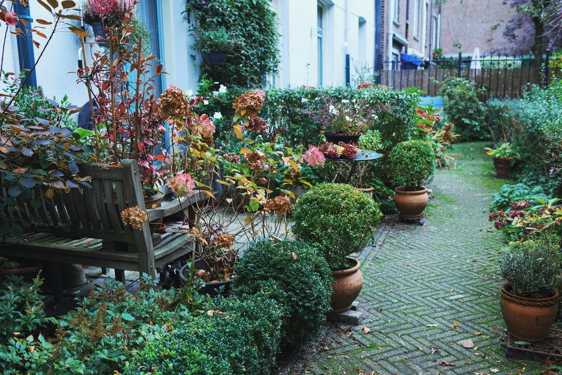 Small Backyard Garden Ideas That Maximize Space
