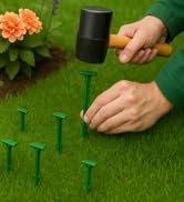 Pack of 50 - GreenStake 4-Inch Biodegradable Garden Stakes, Superior Holding Power - Eco-Friendly