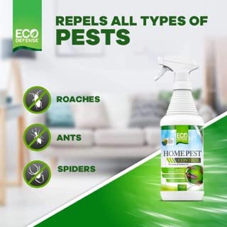 Eco Defense Biobased Pest Control Spray - Ant, Roach, Spider, Bug Killer and Repellent - Natural