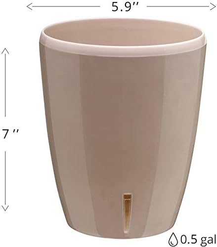 Santino 5.5 Inch ORCHIDEA Self Watering Pots for Orchids in Sand - Decorative Wicking Planter with
