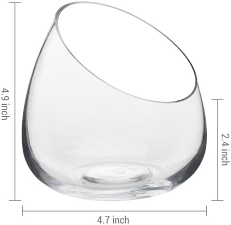 MyGift 5 Inch Premium Clear Glass Air Plant Terrarium, Tealight Candle Holder, Succulent Cactus