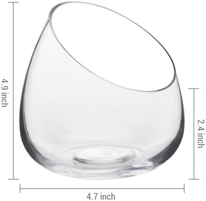 MyGift 5 Inch Premium Clear Glass Air Plant Terrarium, Tealight Candle Holder, Succulent Cactus