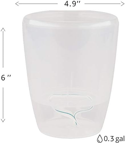 Santino 4.9 Inch ORCHIDEA Self Watering Pots for Orchids in Transparent - Decorative Wicking