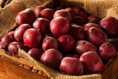 Simply Seed - 2 LB - Hand Selected Red Pontiac Seed - Non GMO - Naturally Grown - Ready to Grow