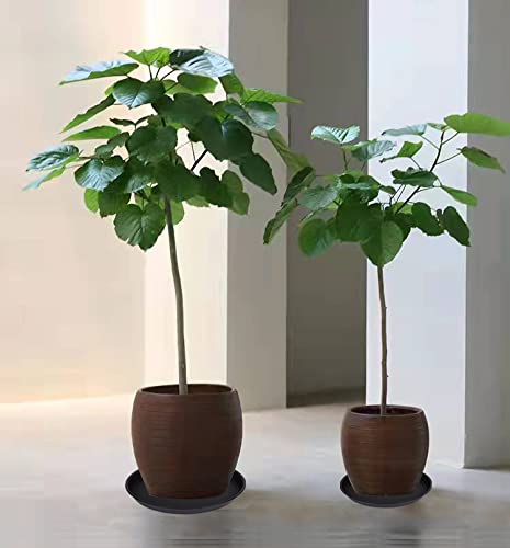 Bleuhome 2 Pack of 14 inch Plant Saucer, Heavy Duty Round Plant Trays for Pots, Plastic Plant Water