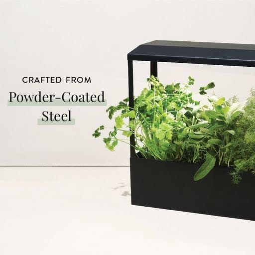 Modern Sprout Smart Growhouse - LED Grow Light for Indoor Plants - Plant Grow Light for Indoor
