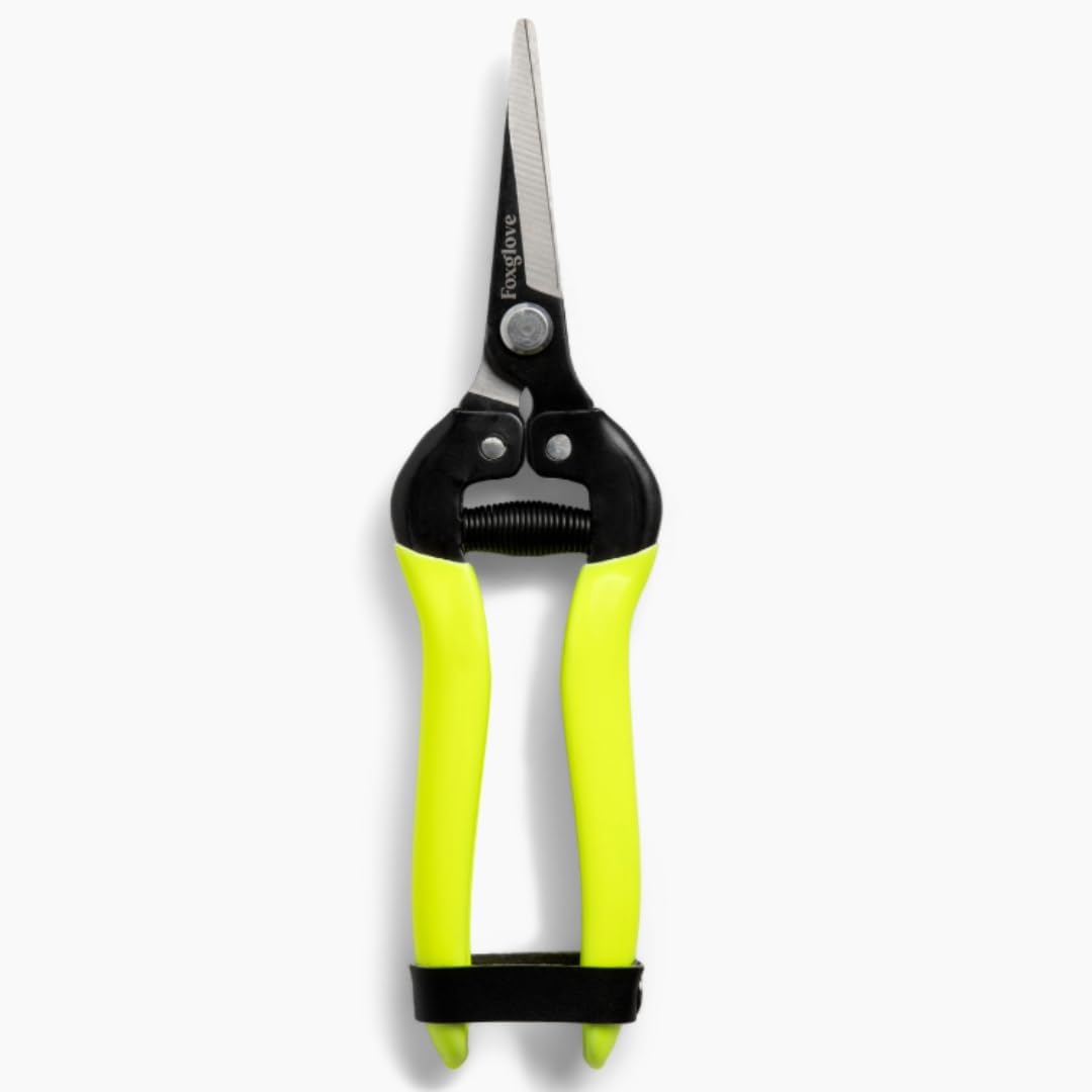 Foxglove Garden Scissors – Professional Pruning Shears for Gardening, Ultra-Sharp Garden Shears