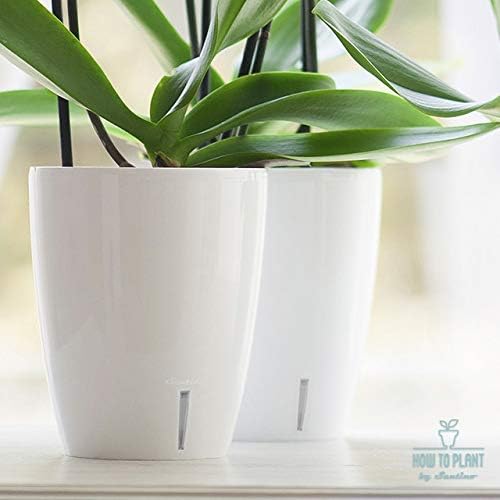Santino 5.5 Inch ORCHIDEA Self Watering Pots for Orchids in Lilac - Decorative Wicking Planter with