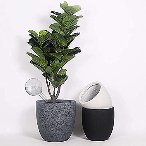 10 Pcs Clear Plant Watering Globes,Plastic Self-Watering Bulbs,Flower Automatic Watering