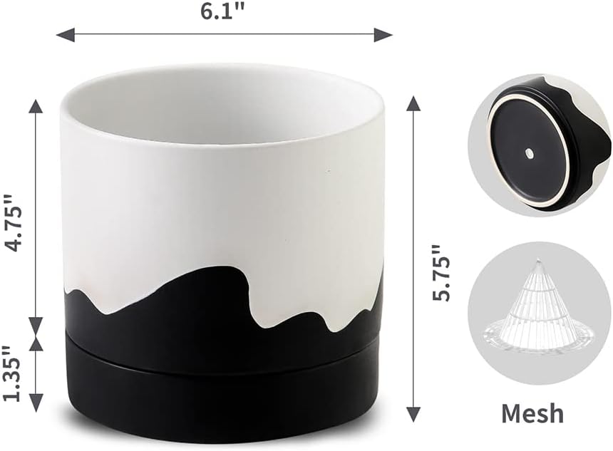 Nihow Ceramic Plant Pot: 6 Inch Planter with Drainage Hole & Saucer for Indoor & Outdoor Plants