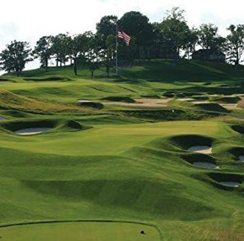 Outsidepride PC2.0 (Penncross) Creeping Bent Grass Seed – 1 lb. Premium Golf Course Grade, Dense