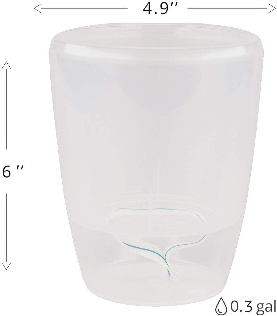 Santino 4.9 Inch ORCHIDEA Self Watering Pots for Orchids in Transparent (Set of 3) - Decorative