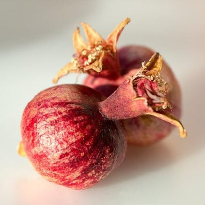 Live Dwarf Pomegranate Plant (Punica Granatum) - Compact, Ornamental Fruit Bearing Shrub