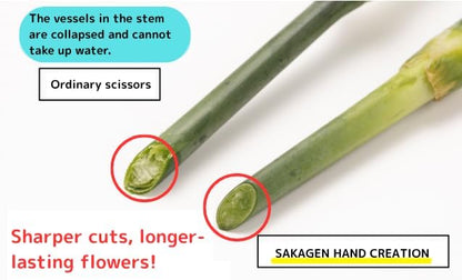 Japanese Florist Scissors – Professional Ultra Sharp Flower Shears Made in JAPAN for Ikebana Floral
