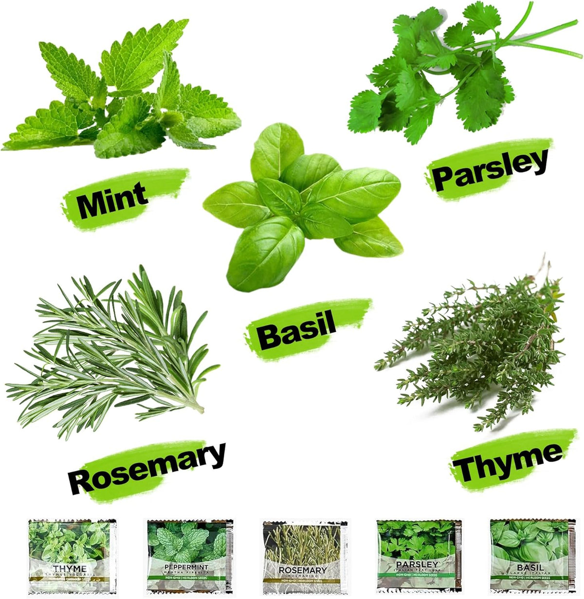 Indoor Herb Garden Kit – Complete Starter Growing Set with Planter Bags, Soil Discs & Tools | Easy
