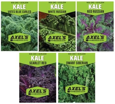 Kale Seeds for Planting - Plant & Grow Heirloom Kale Varieties Home Outdoor Garden – Easy Grow