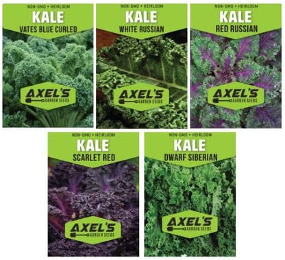 Kale Seeds for Planting - Plant & Grow Heirloom Kale Varieties Home Outdoor Garden – Easy Grow