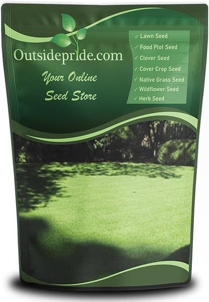 Outsidepride 1 Lb Supranova Shade Grass Mix of POA Supina & Rough Bluegrass - Shade Tolerant Grass