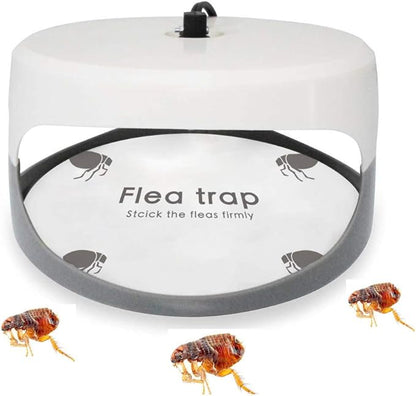 Flea Trap Refills 10 Packs, Flea Trap for Inside Your Home, Replacement Pads for Fleas Light, 7.1