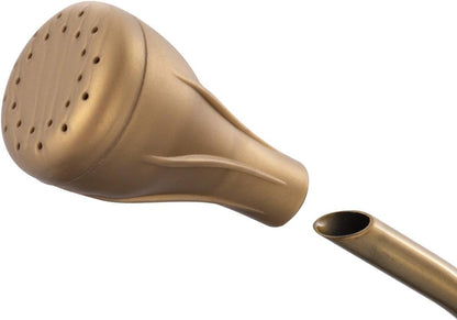 1/2 Gallon 68oz Long Spout Stainless Steel Gold Colored Watering Can for Indoor Plant Watering or