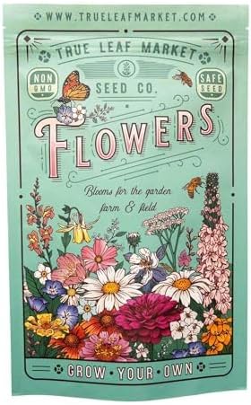 Southwestern Wildflower Seeds Bulk – 1/4 lb, 160,000+ Seeds – Native Desert Flower Mix – Annual &