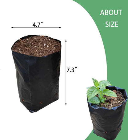 Belit 100 Pcs Plant Nursery Bags, Plastic Seedling Pots Container for Fruit Tree, Flower, Starting