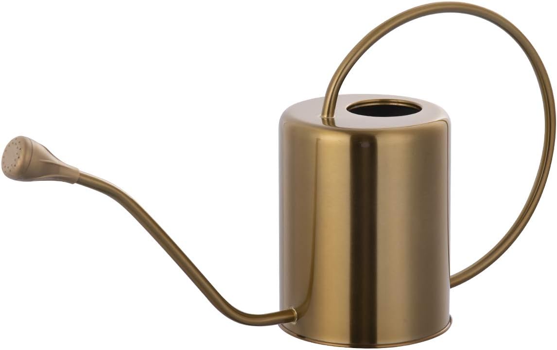 1/2 Gallon 68oz Long Spout Stainless Steel Gold Colored Watering Can for Indoor Plant Watering or