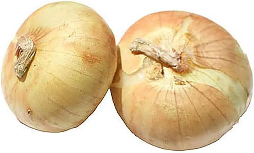 Walla Walla Onion Seeds - 100 Seeds