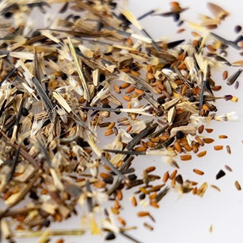 Save The Monarchs Wildflower Seed Shaker - 100,000+ Wild Flower Seeds for Planting - Beautiful Easy