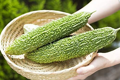 Gaea's Blessing Seeds - Bitter Melon Seeds - Bitter Gourd Heirloom Non-GMO Bittermelon Seeds with