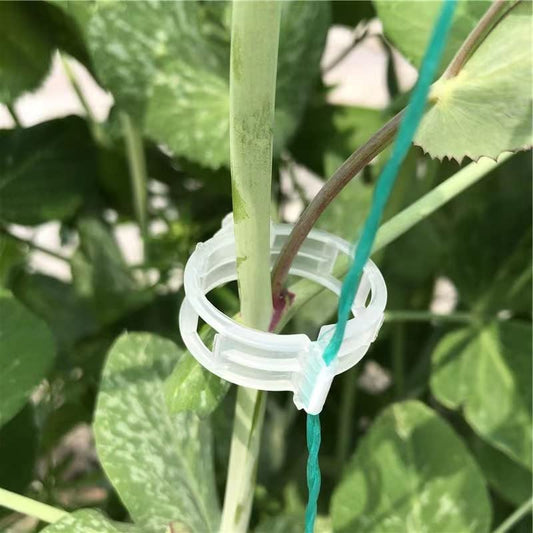 Piteno® 300Pcs Tomato Clips, Plastic Trellis Clips, Plant Support Clips, Grape Vine Tomato Vine