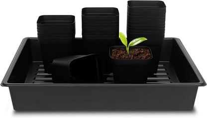 4 inch (10CM) Square Nursery Pots 60pcs, Sturdy Seedlings Trays 5 Pcs, Seeds Starter Germination