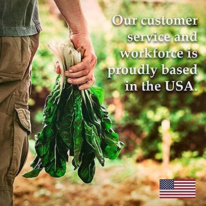 Watermelon Seeds, Crimson Sweet Variety | 60+ Non-GMO, Heirloom Watermelon Seeds | Premium Home