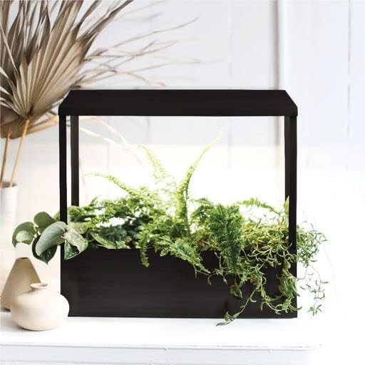 Modern Sprout Smart Growhouse - LED Grow Light for Indoor Plants - Plant Grow Light for Indoor