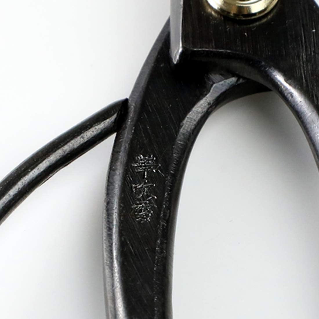 Wazakura Bonsai Scissors MADE IN JAPAN 7inch(180mm), Japanese Bonsai Garden Tools, Hasami Pruning