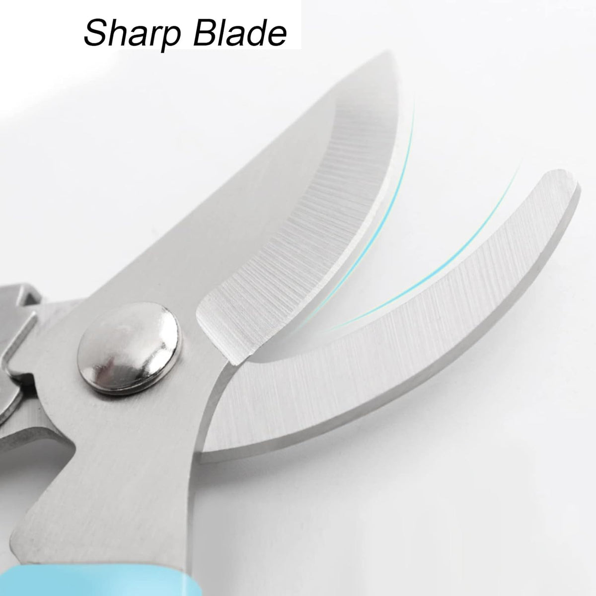 Curve Gardening Scissor with Sharp Stainless Steel Blade Garden Shears for Cutting Flowers Trimming
