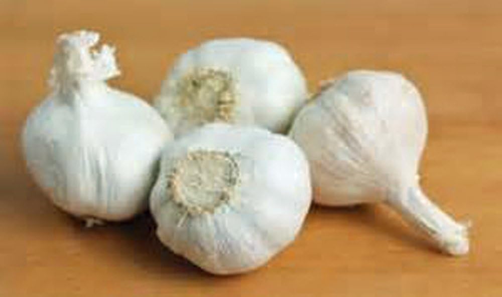 Garlic Bulbs, Whole Garlic Bulbs, 2 Pound , Ready for Planting or Preparing as a Great Flavoring
