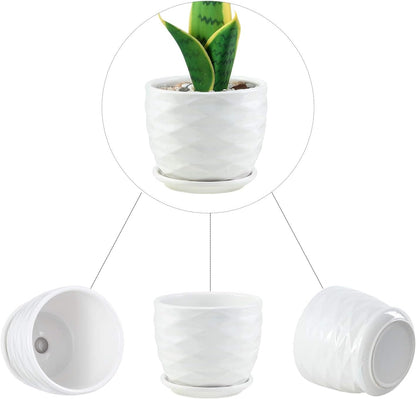 Plant Pots - 4.7 Inch Cylinder Ceramic Planters with Connected Saucer, Pots for Succuelnt and