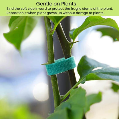Reusable Plant Ties Hook and Loop Soft Garden Tape Roll Gentle Plant Supporting Ties Double Sided