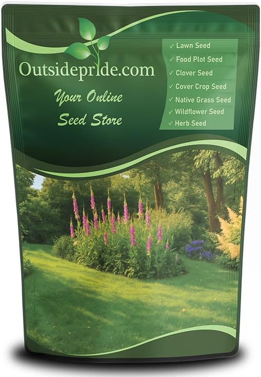 Outsidepride Sheeps Fine Fescue Grass Seed - 5 Lbs. Perennial Heat & Drought Tolerant Dense Green