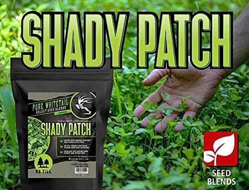 Shady Patch | All Year Deer Feeder | No Plow Food Plot Seed for Deer | Deer Food Plot Seed | White