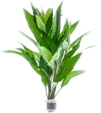 SubstrateSource Live Plants – Nomaphila Stricta – Moderate to High Light, Green, Midground to